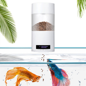 Feed Your Fish Without the Fuss!