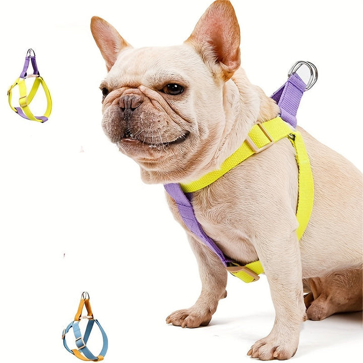 Rainbow Cotton Dog Harness and Leash Set