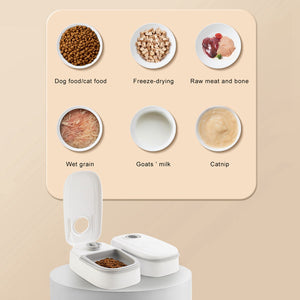 The Ultimate Solution for Pet Feeding: Automatic Smart Pet Feeder