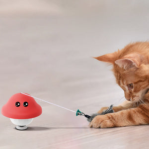 The Ultimate Playtime Solution for Your Indoor Kittens