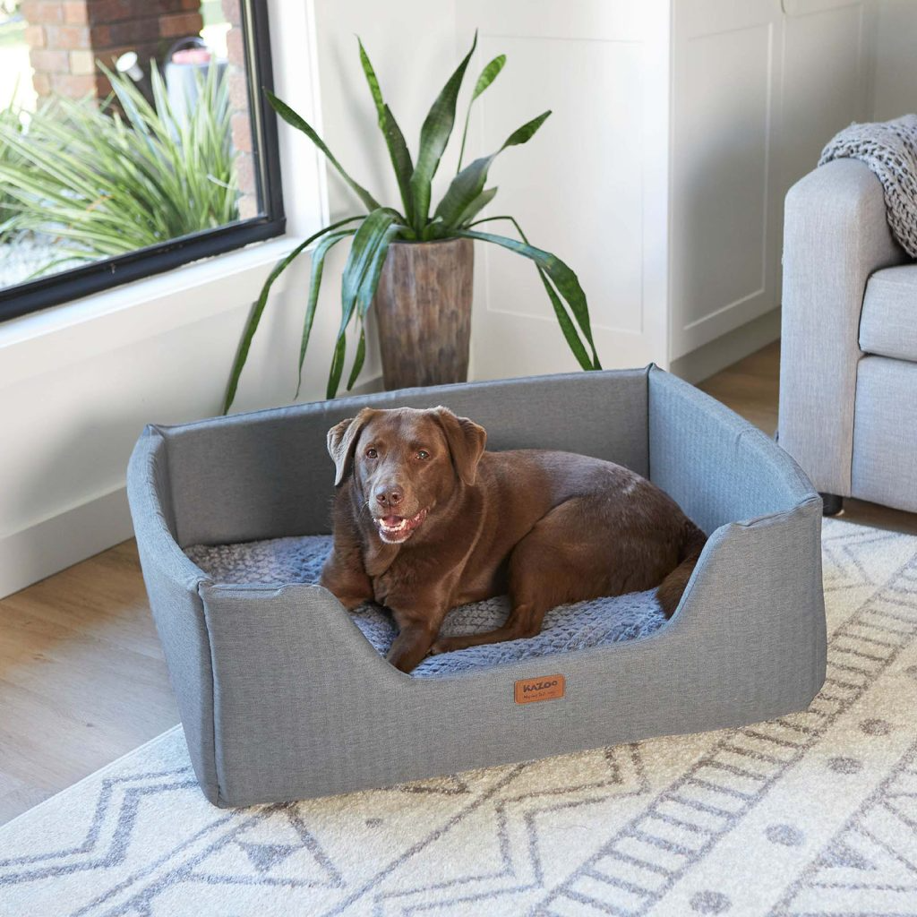 The Importance of a Cozy Pet Bed