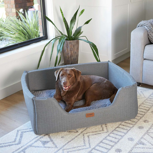 The Importance of a Cozy Pet Bed