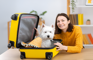 Traveling Comfortably With Your Pet