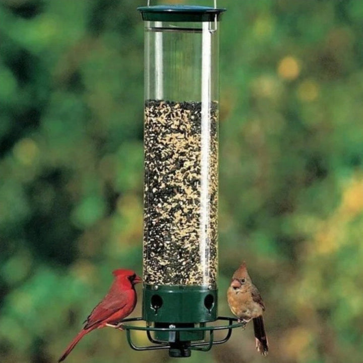 Why Your Garden Needs a Metal Hanging Hummingbird Feeder Bird Cage