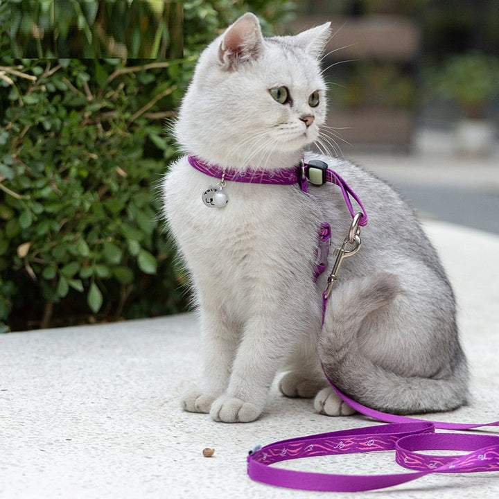 Pet Harness and Leash Vest for Small Dogs and Cats