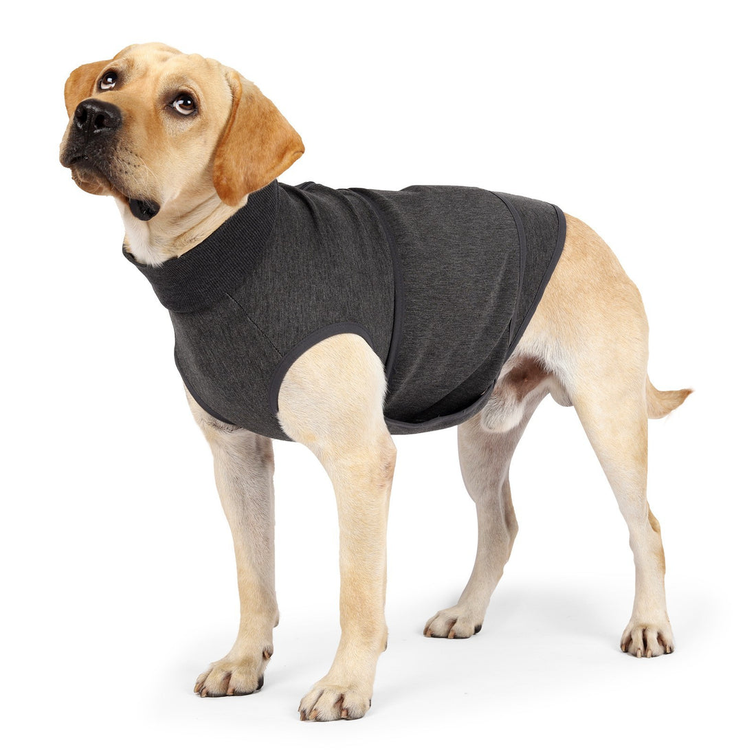 Double-Layer Polyester Comfort Jacket for Pets