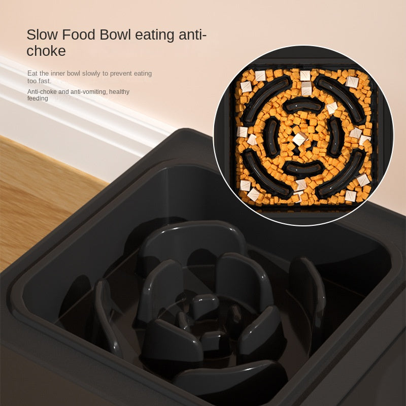 Adjustable Height Stainless Steel Double Dog Bowl with Stand
