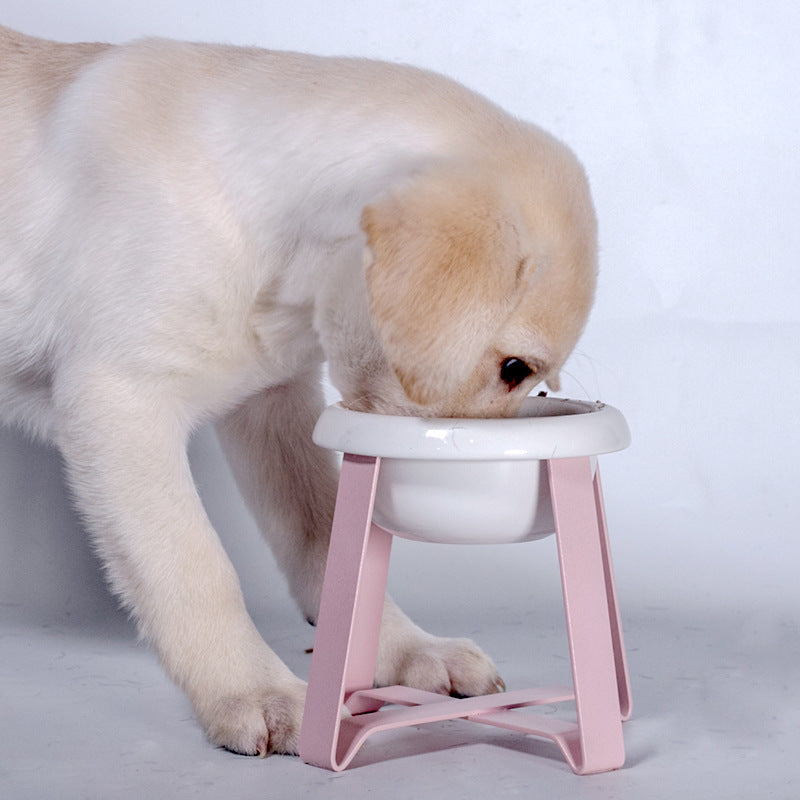 2-in-1 Anti-Slip Cat and Dog Feeding Bowl with Iron Stand