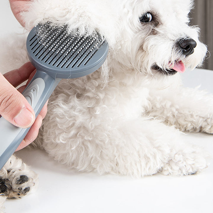 Slicker Grooming Brush for Cats and Small Dogs