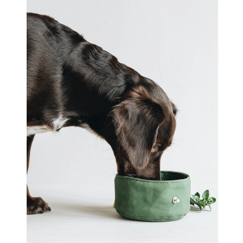 Folding Canvas Pet Bowl for Dogs and Cats