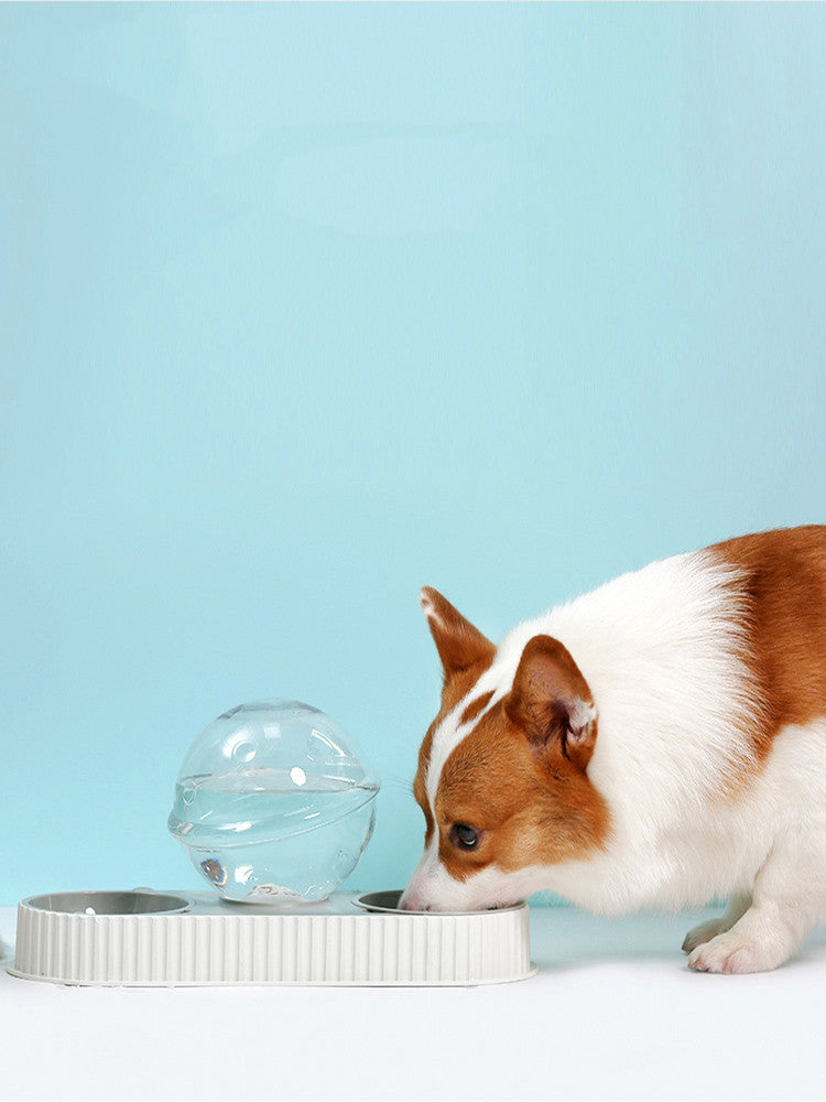 Automatic Plastic Pet Feeder and Water Bowl for Cats and Dogs