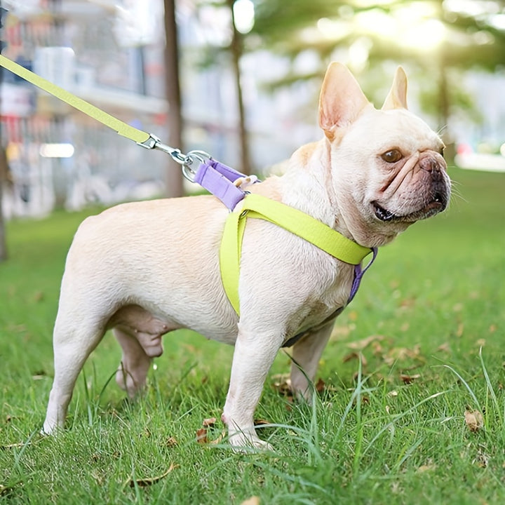 Rainbow Cotton Dog Harness and Leash Set