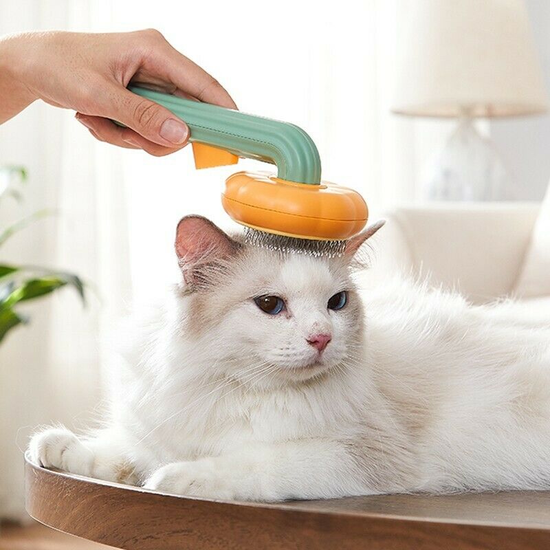 Self-Cleaning Slicker Brush for Pets