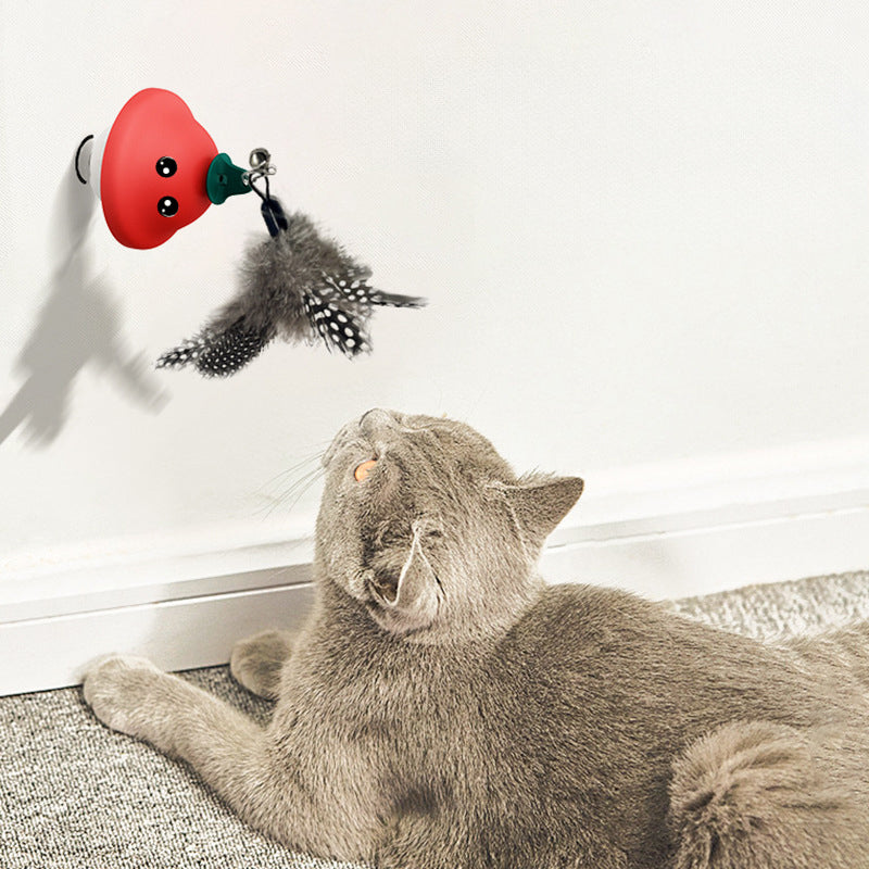 Retractable Cat Wand Teaser Toy for Indoor Kittens