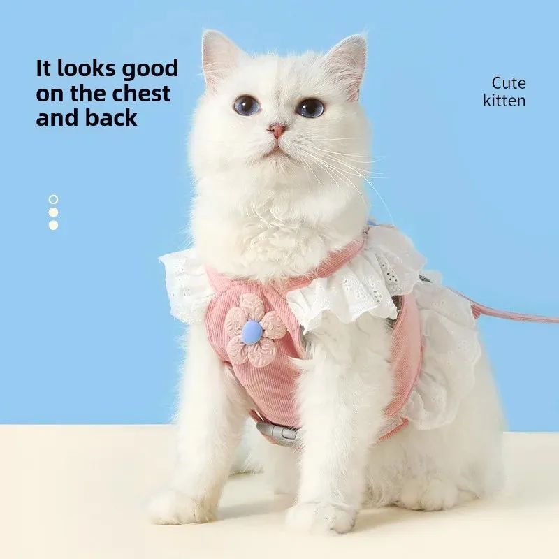 Summer Pet Harness and Safety Leash for Dogs and Cats