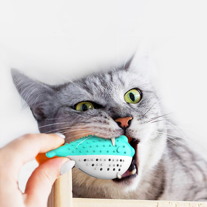 Silicone Cat Chew and Teaser Toy with Catnip