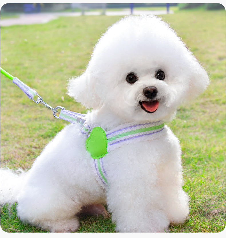 Breathable Summer Leash for Small Dogs