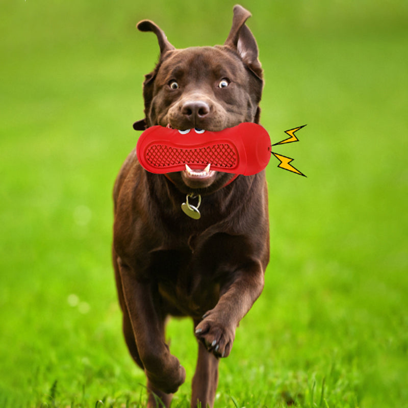 Vocal Rugby Natural Rubber Chew Toy for Dogs