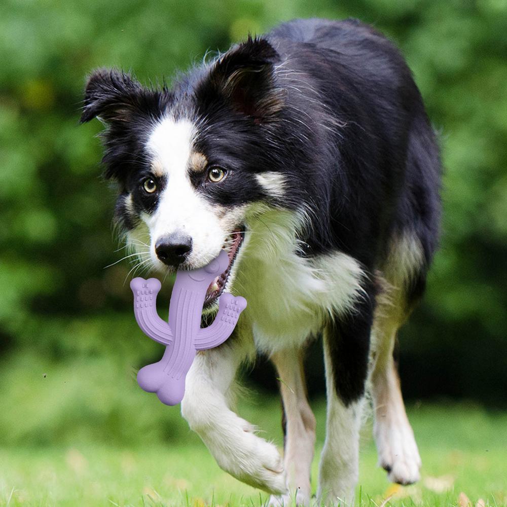 Ultra-Durable Cactus Dog Chew Toy