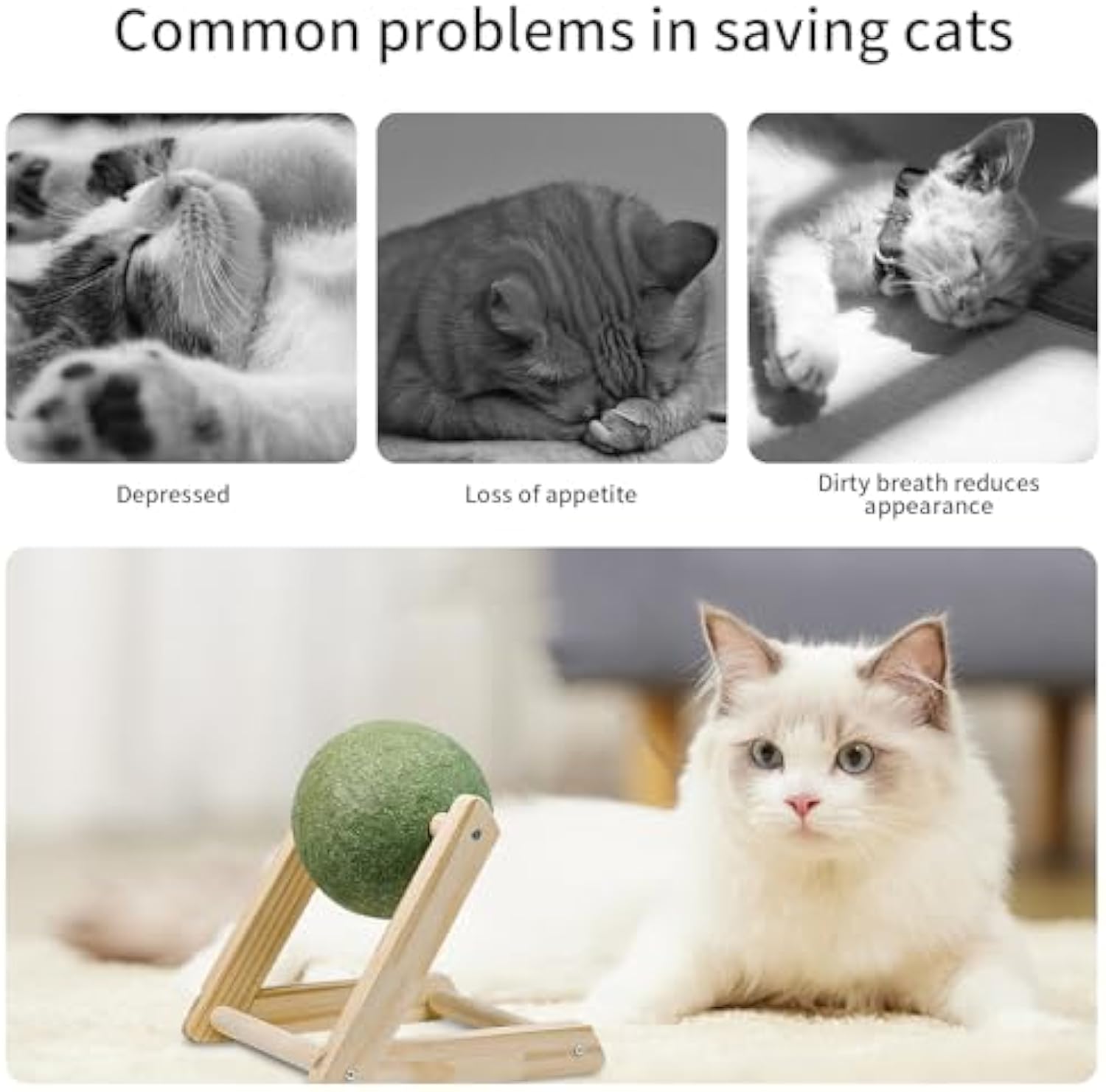 Giant Catnip Ball Toy with Holder for Indoor Cats