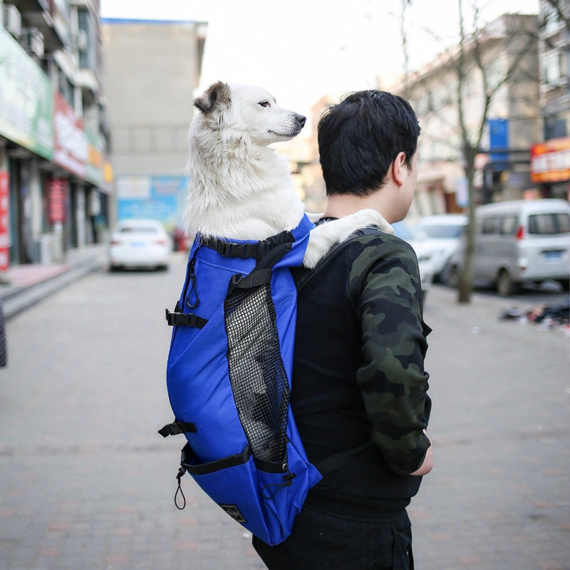 Double-Shoulder Pet Travel Backpack for Dogs
