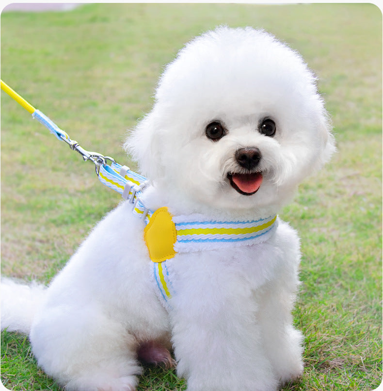 Breathable Summer Leash for Small Dogs