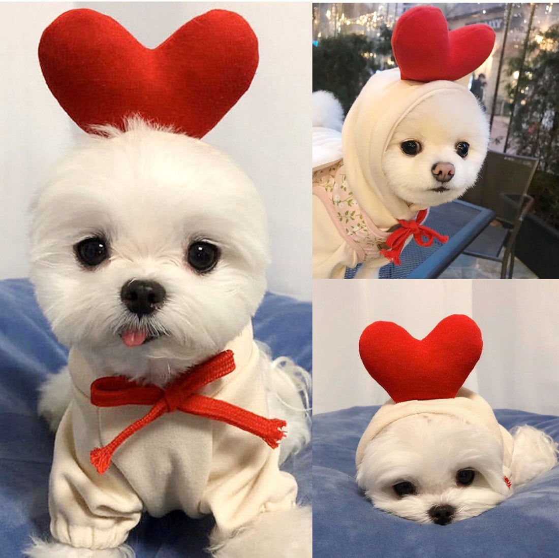 Hooded Sweater Apricot Elk Pet Clothes
