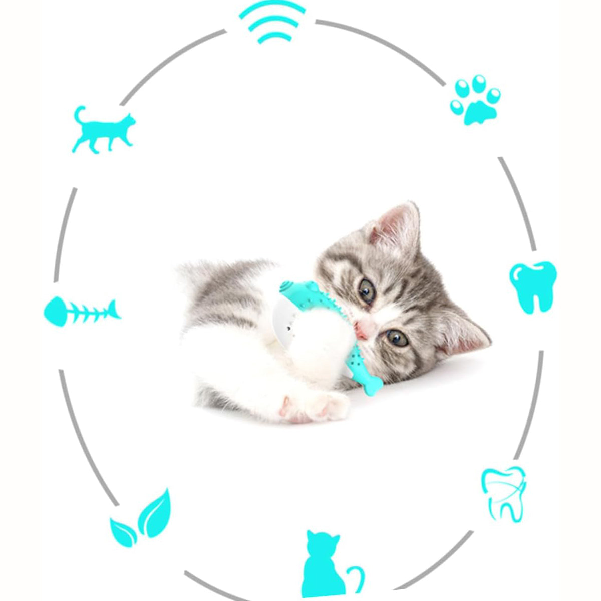 Silicone Cat Chew and Teaser Toy with Catnip