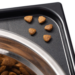 Anti-Tip Elevated Pet Feeding Bowl for Medium and Large Dogs