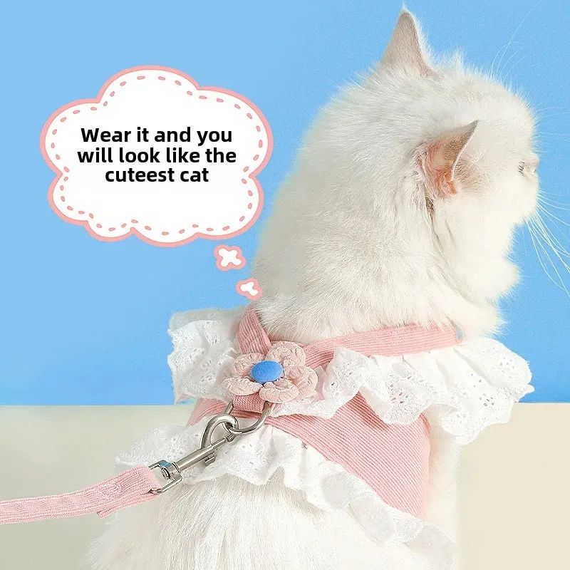 Summer Pet Harness and Safety Leash for Dogs and Cats