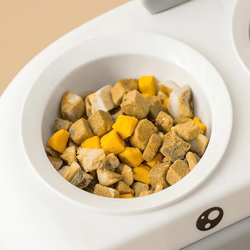 Duck-Shaped Double Pet Feeding Bowl for Cats and Dogs