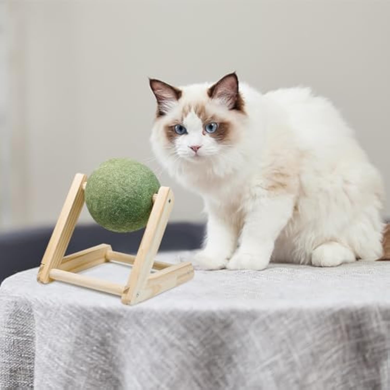Giant Catnip Ball Toy with Holder for Indoor Cats