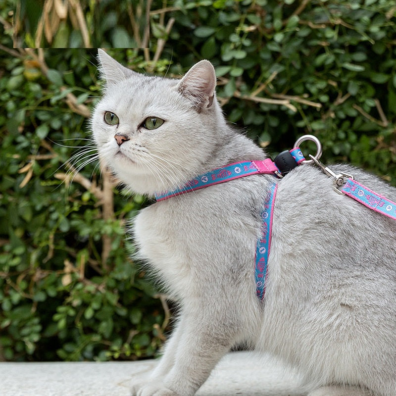Pet Harness and Leash Vest for Small Dogs and Cats