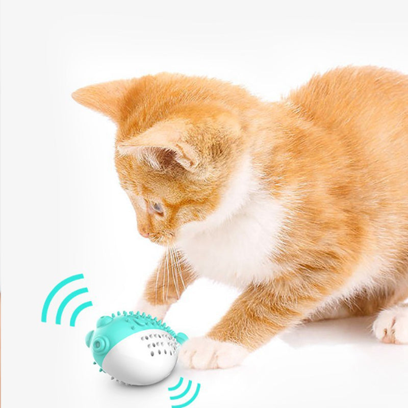 Silicone Cat Chew and Teaser Toy with Catnip