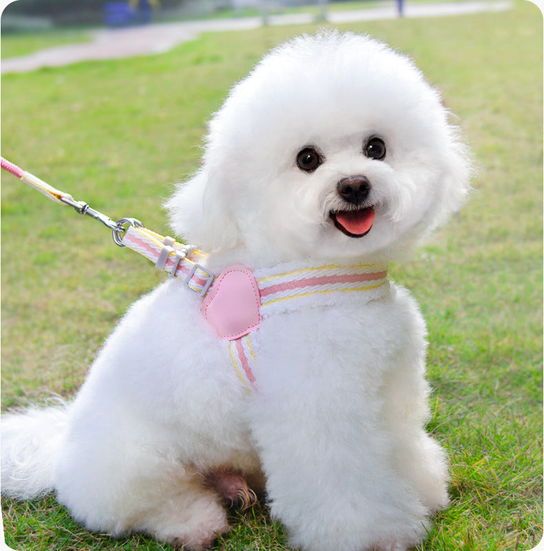 Breathable Summer Leash for Small Dogs