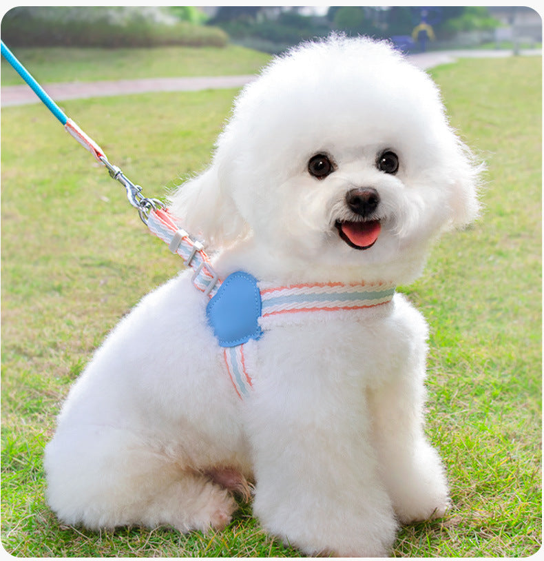 Breathable Summer Leash for Small Dogs