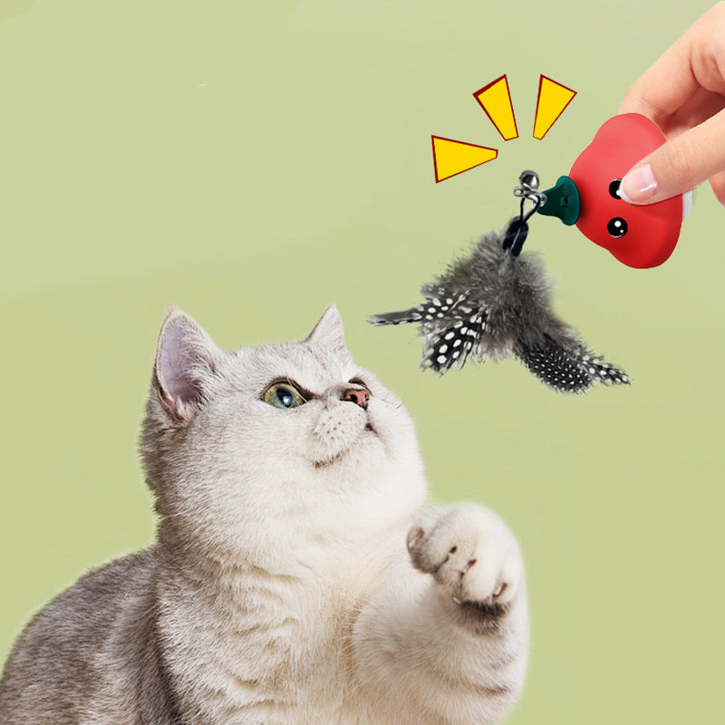Retractable Cat Wand Teaser Toy for Indoor Kittens