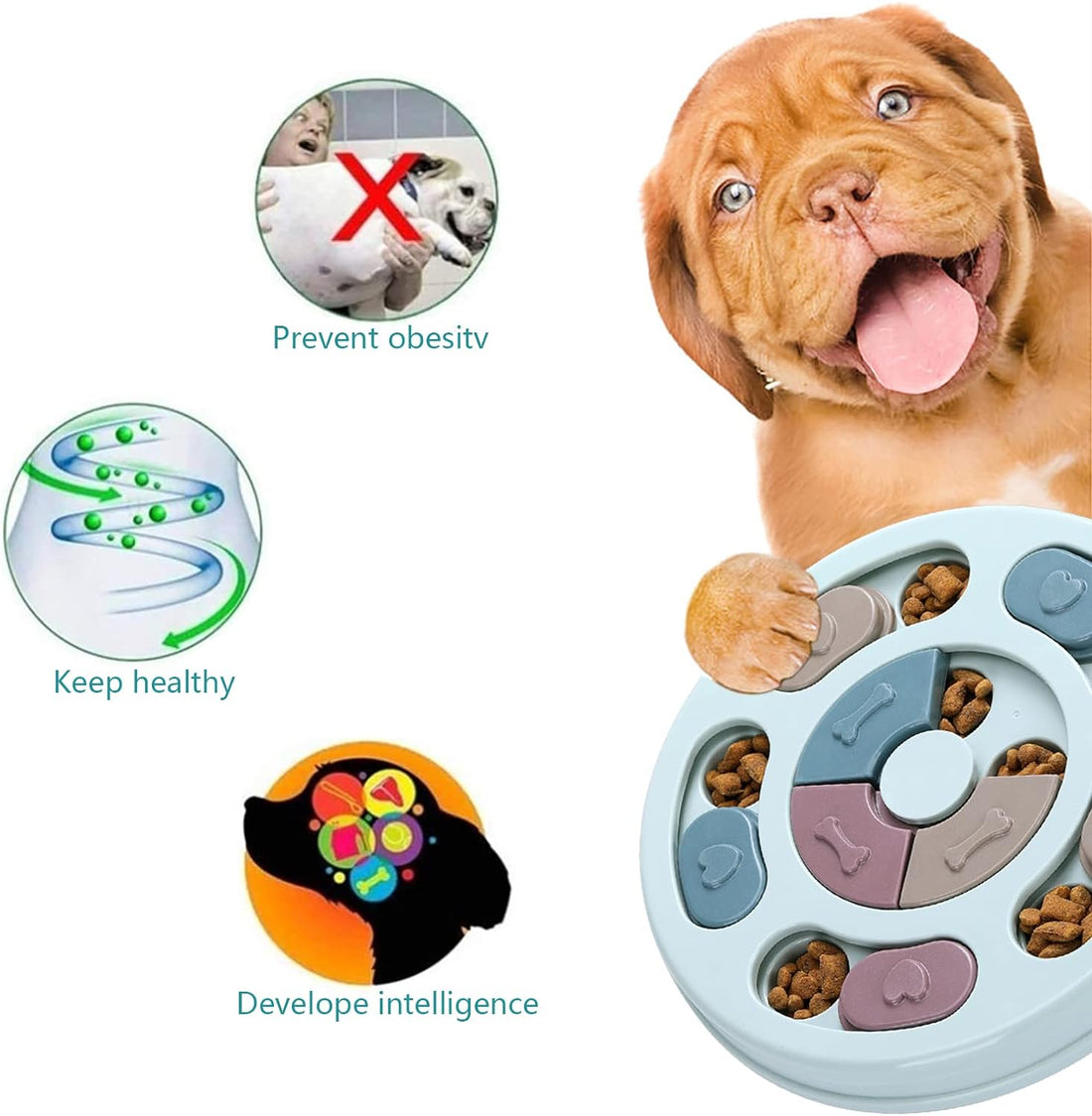 Dog Puzzle Feeder Toy for Mental Enrichment