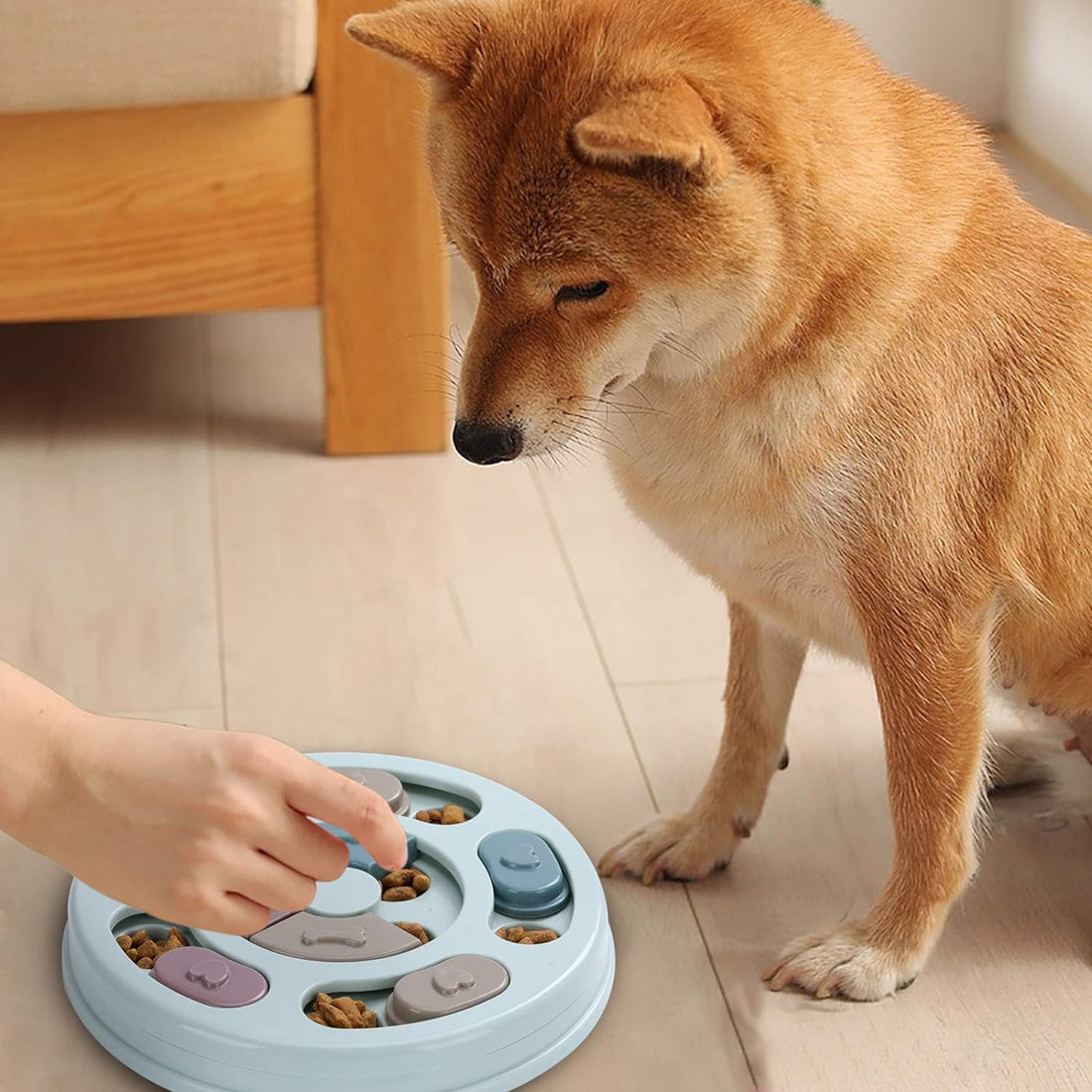 Dog Puzzle Feeder Toy for Mental Enrichment