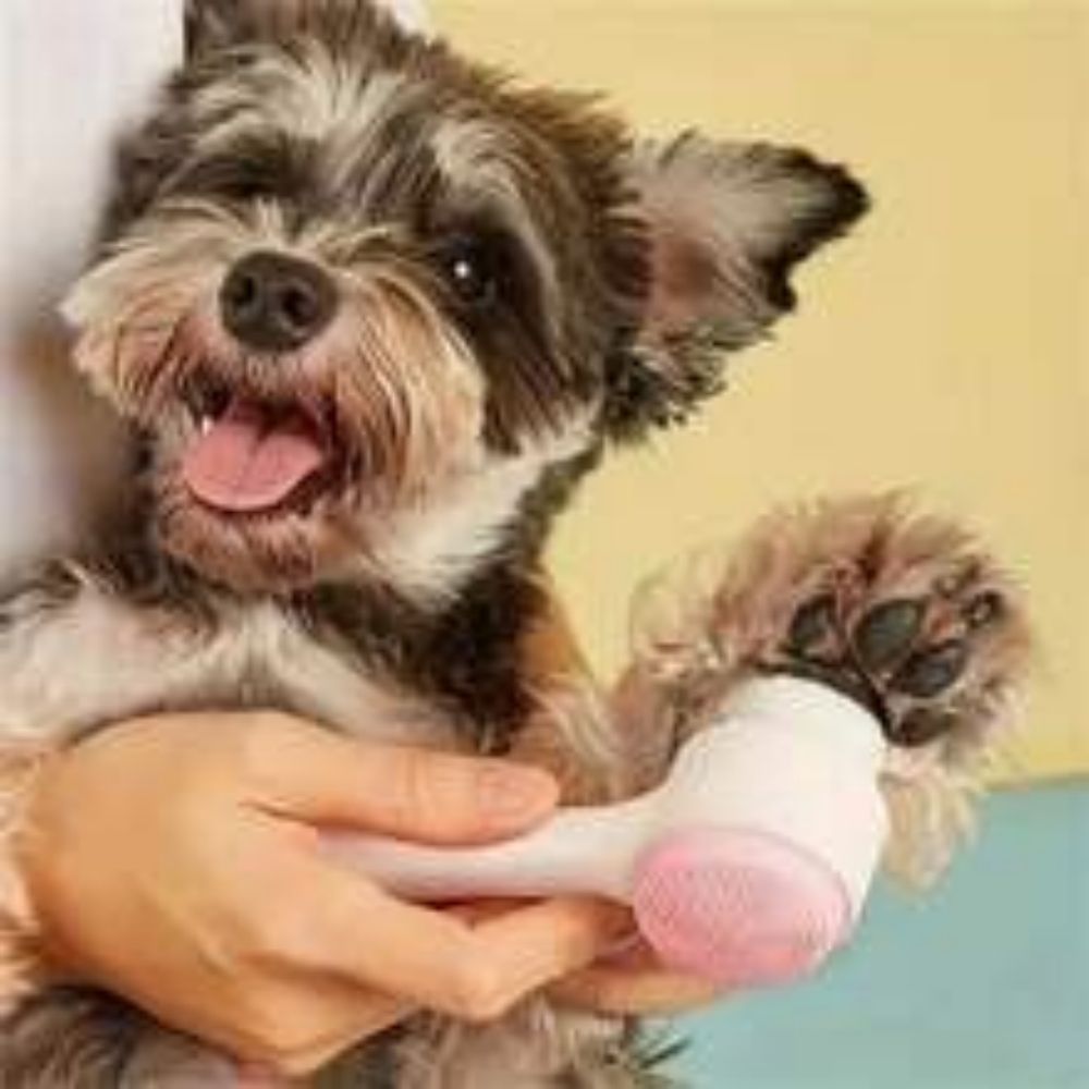 Nylon Pet Paw Brush for Grooming and Massage