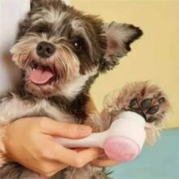 Nylon Pet Paw Brush for Grooming and Massage