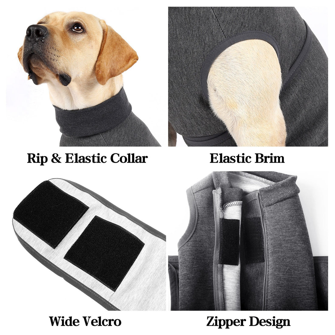 Double-Layer Polyester Comfort Jacket for Pets