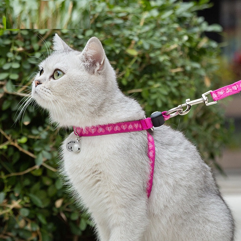 Pet Harness and Leash Vest for Small Dogs and Cats