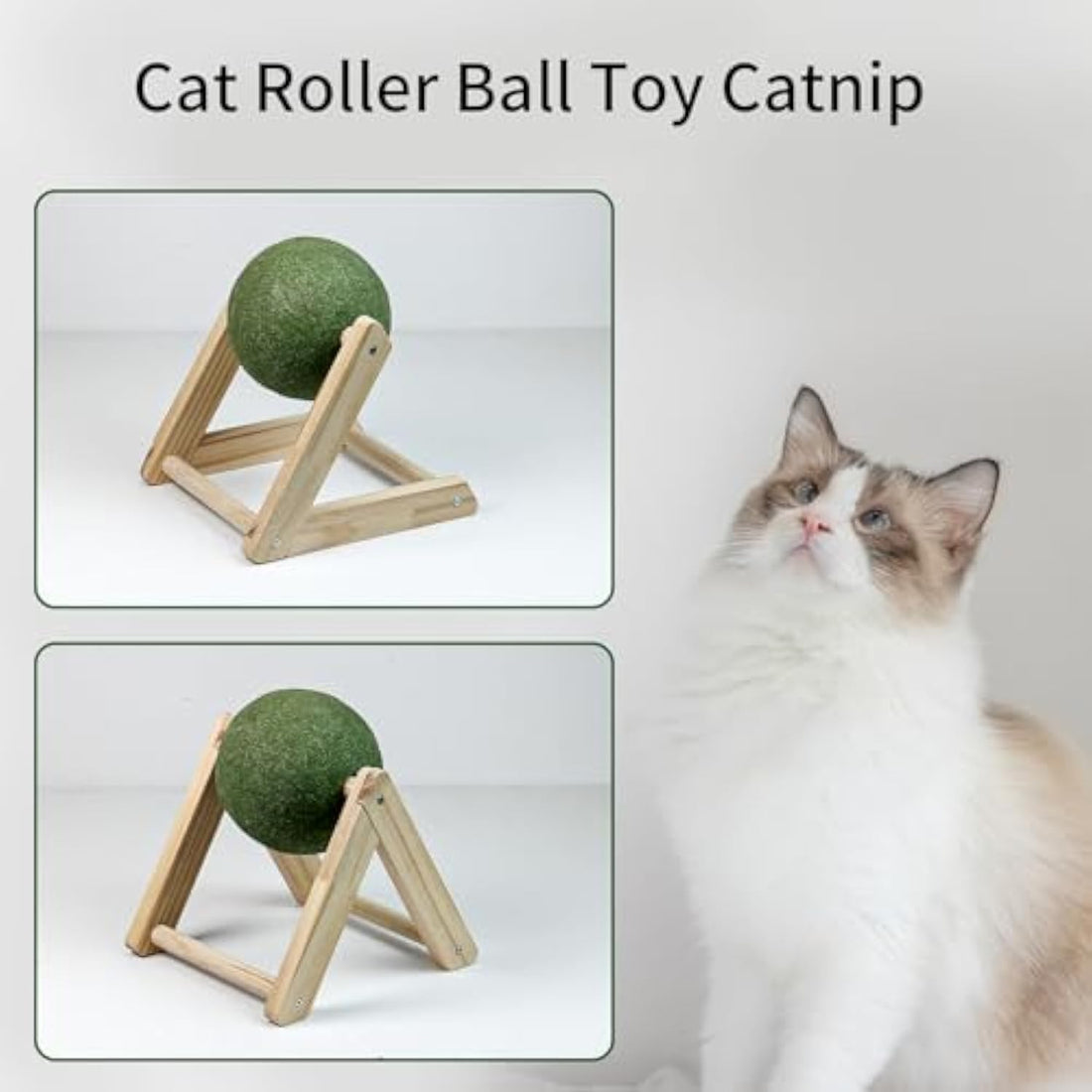 Giant Catnip Ball Toy with Holder for Indoor Cats